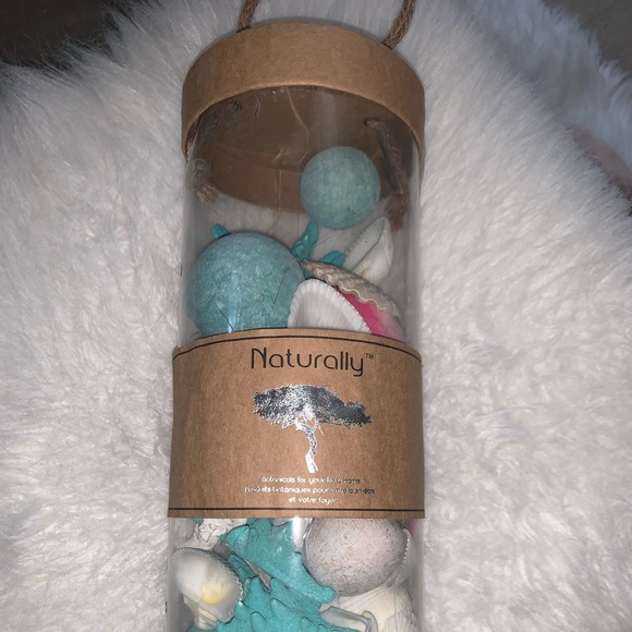 Seashells - Picture 4 of 4